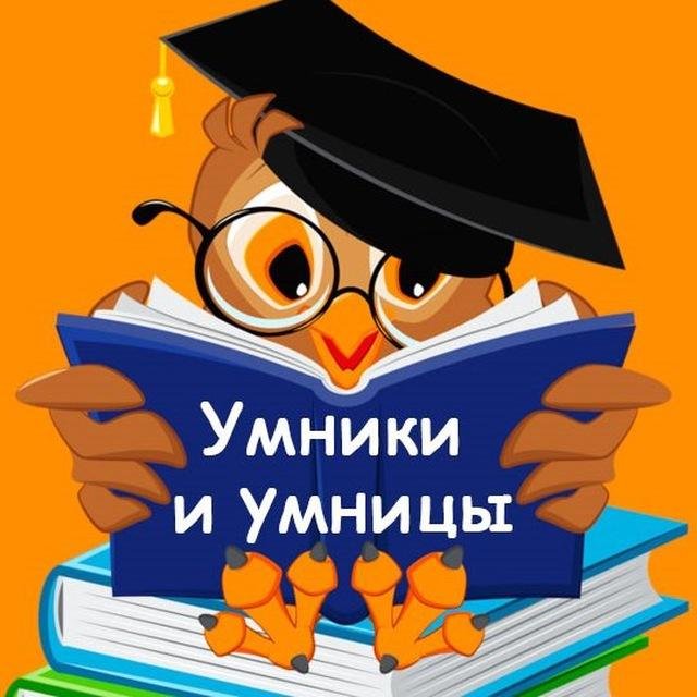 Кружок «Умники и умницы».